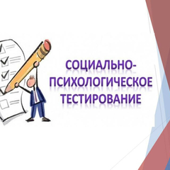 Завершилась серия вебинаров и семинаров по результатам ЕМ СПТ-2019 в системе образования Иркутской области