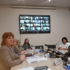 Очередное заседание Областной межведомственной группы по предупреждению жестокого обращения в отношении несовершеннолетних и суицидального поведения несовершеннолетних